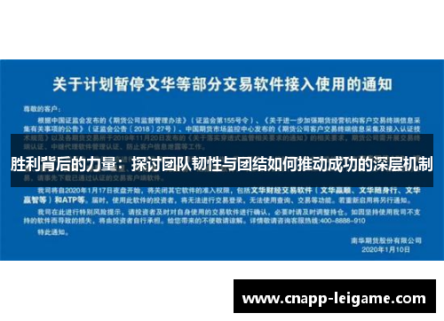 胜利背后的力量：探讨团队韧性与团结如何推动成功的深层机制