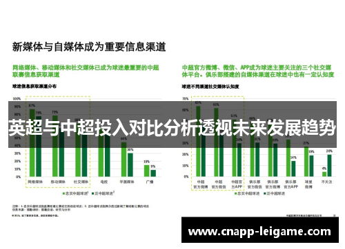 英超与中超投入对比分析透视未来发展趋势