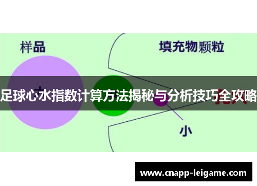 足球心水指数计算方法揭秘与分析技巧全攻略