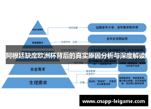 阿根廷缺席欧洲杯背后的真实原因分析与深度解读