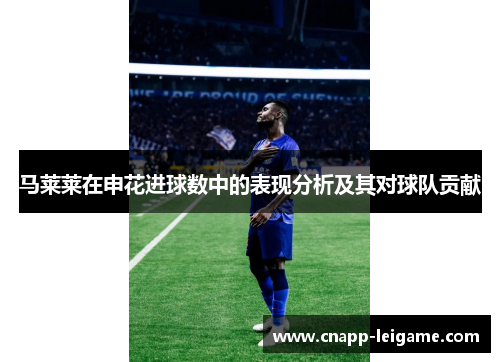 马莱莱在申花进球数中的表现分析及其对球队贡献